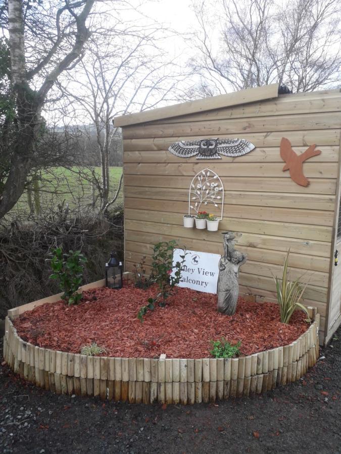 Ruby Shepherds Hut Sleeps 4 Rhayader Eksteriør bilde